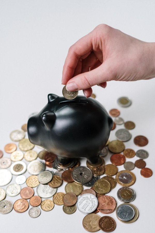 money in a piggy bank